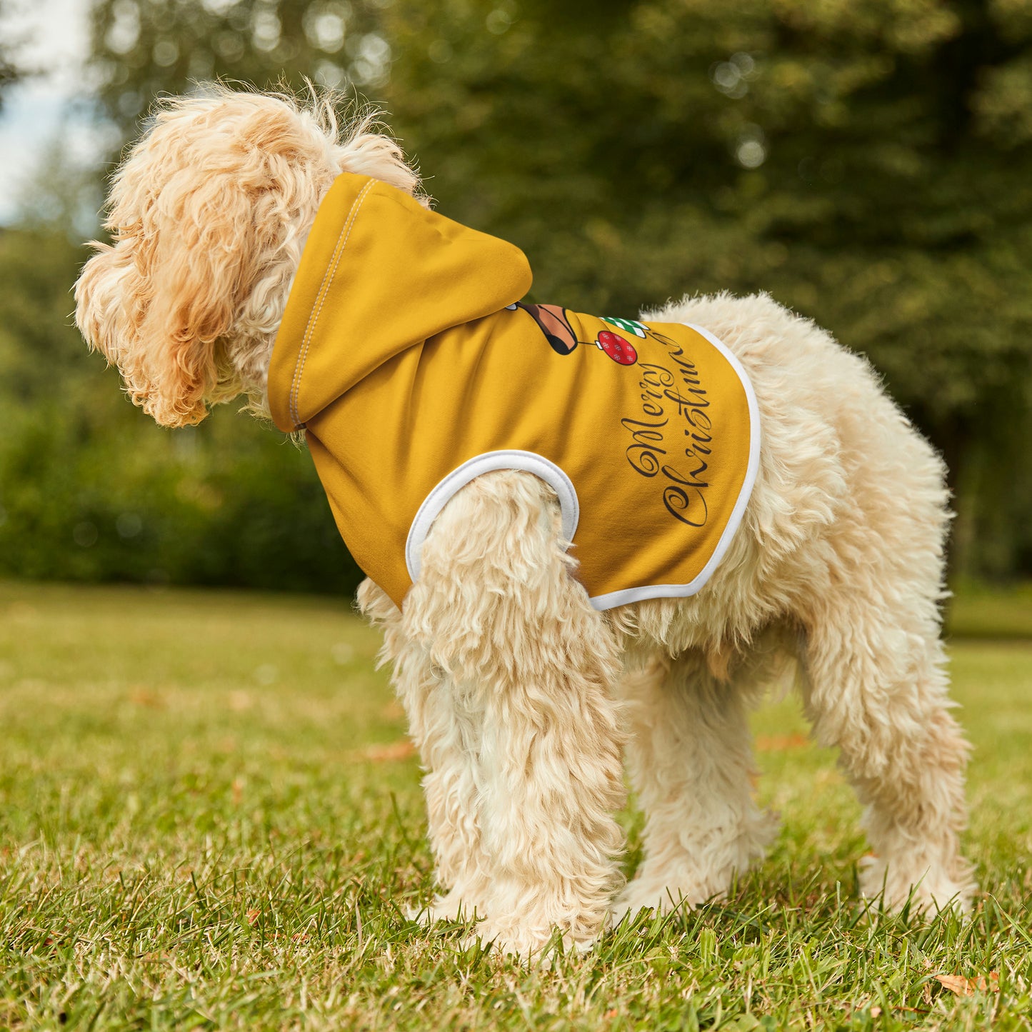 Dachshund Christmas Pet Hoodie