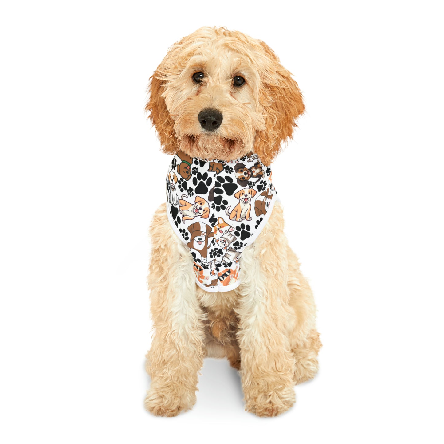 Dog Pattern Pet Hoodie