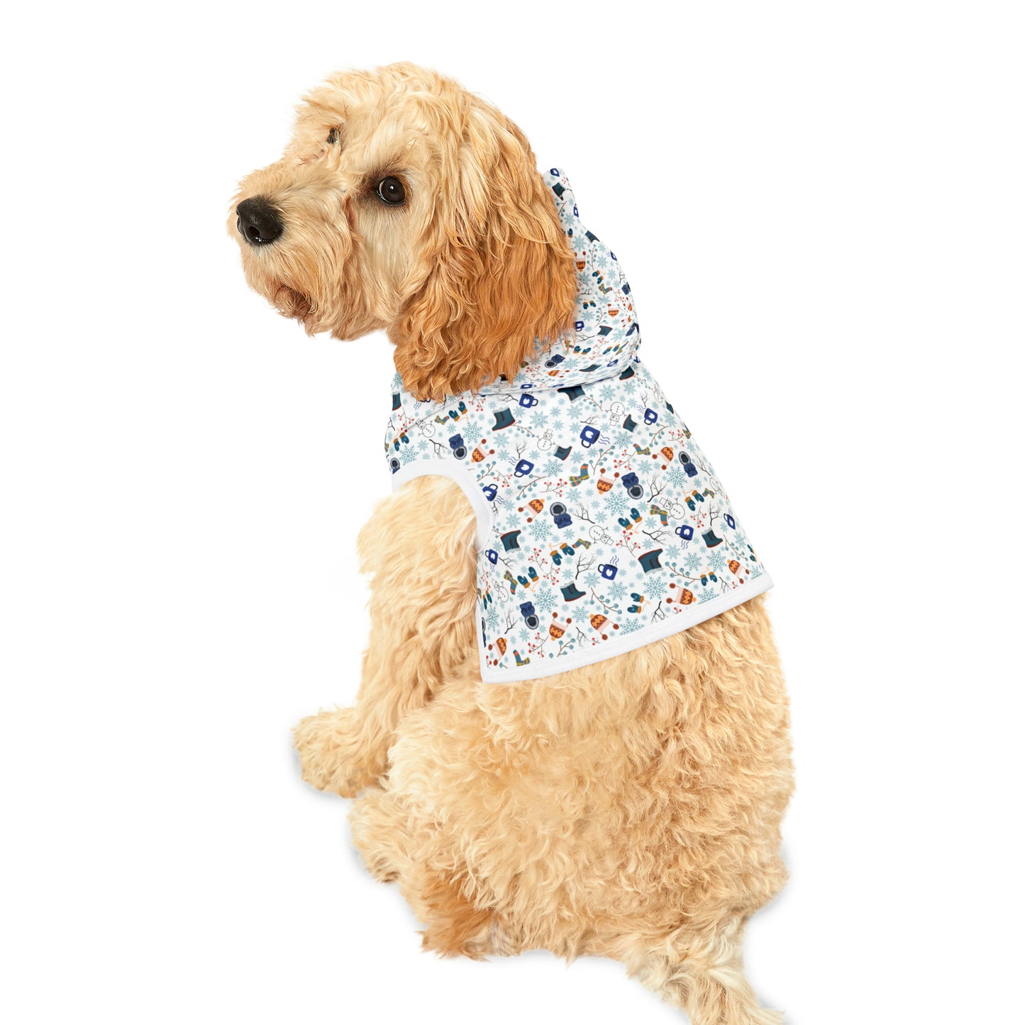 Winter Pattern Pet Hoodie