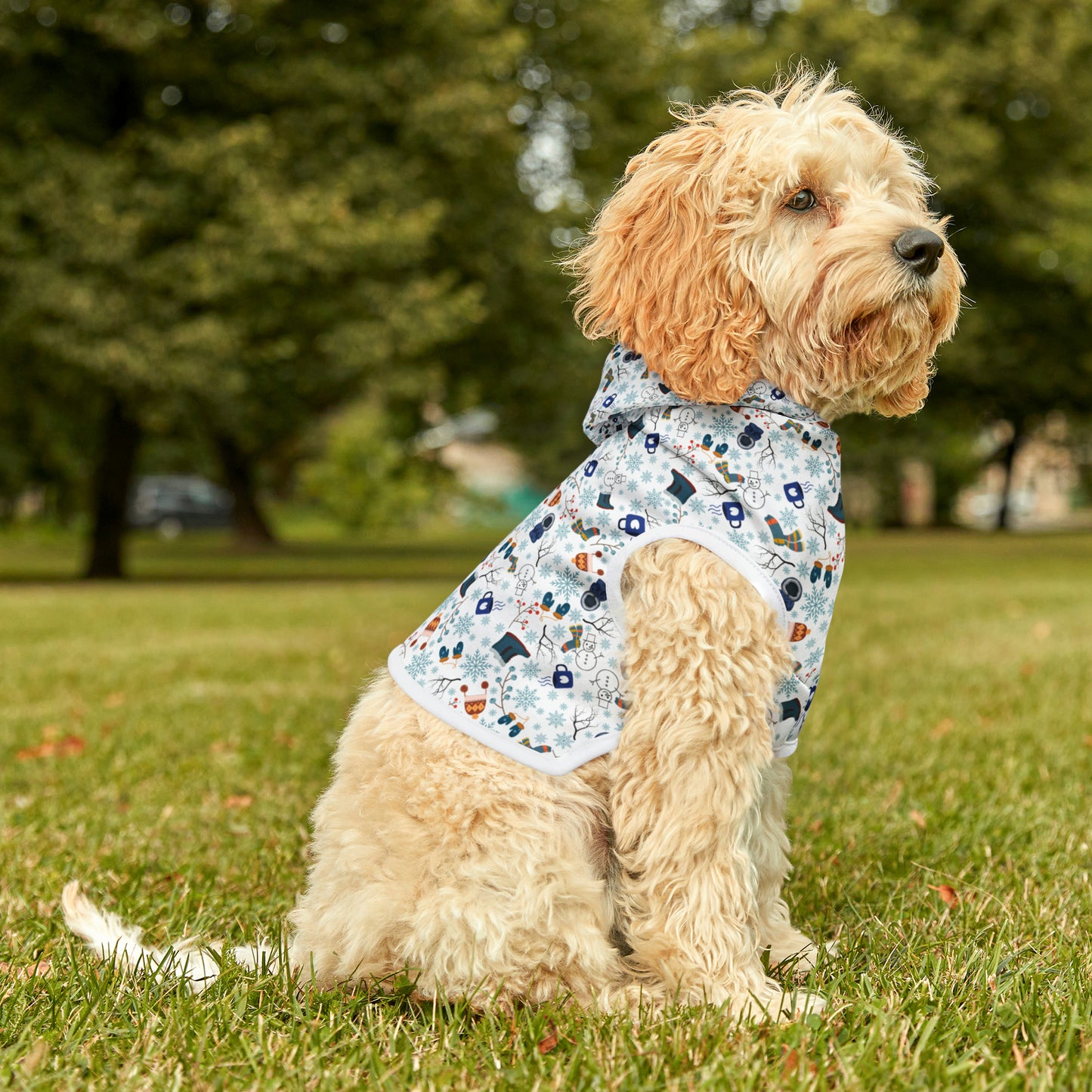 Winter Pattern Pet Hoodie