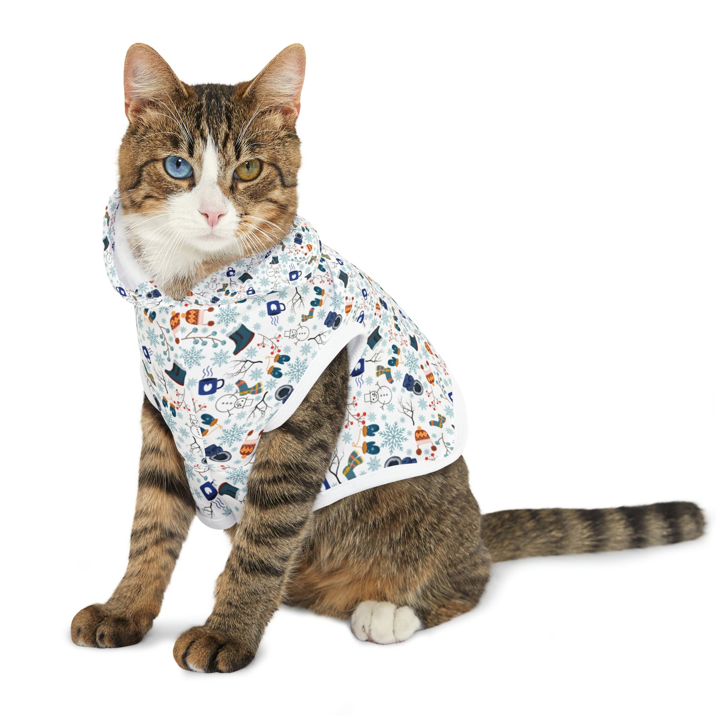 Winter Pattern Pet Hoodie